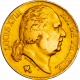 20 Francs Or Louis XVIII 1818 Nantes